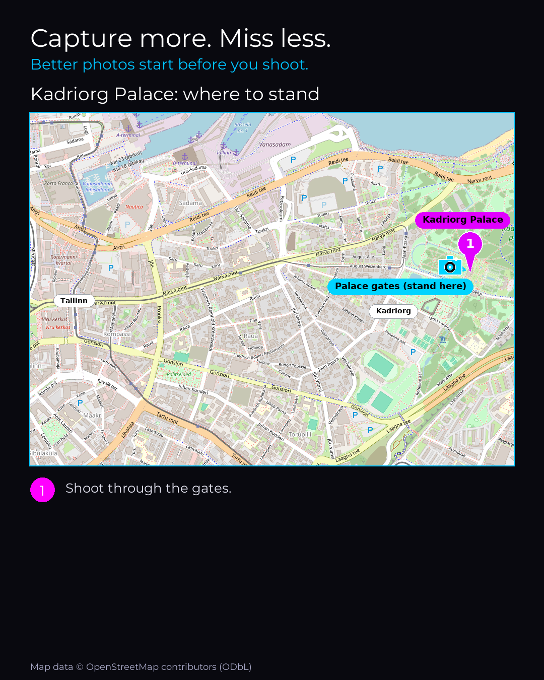 Shot map of Kadriorg Palace