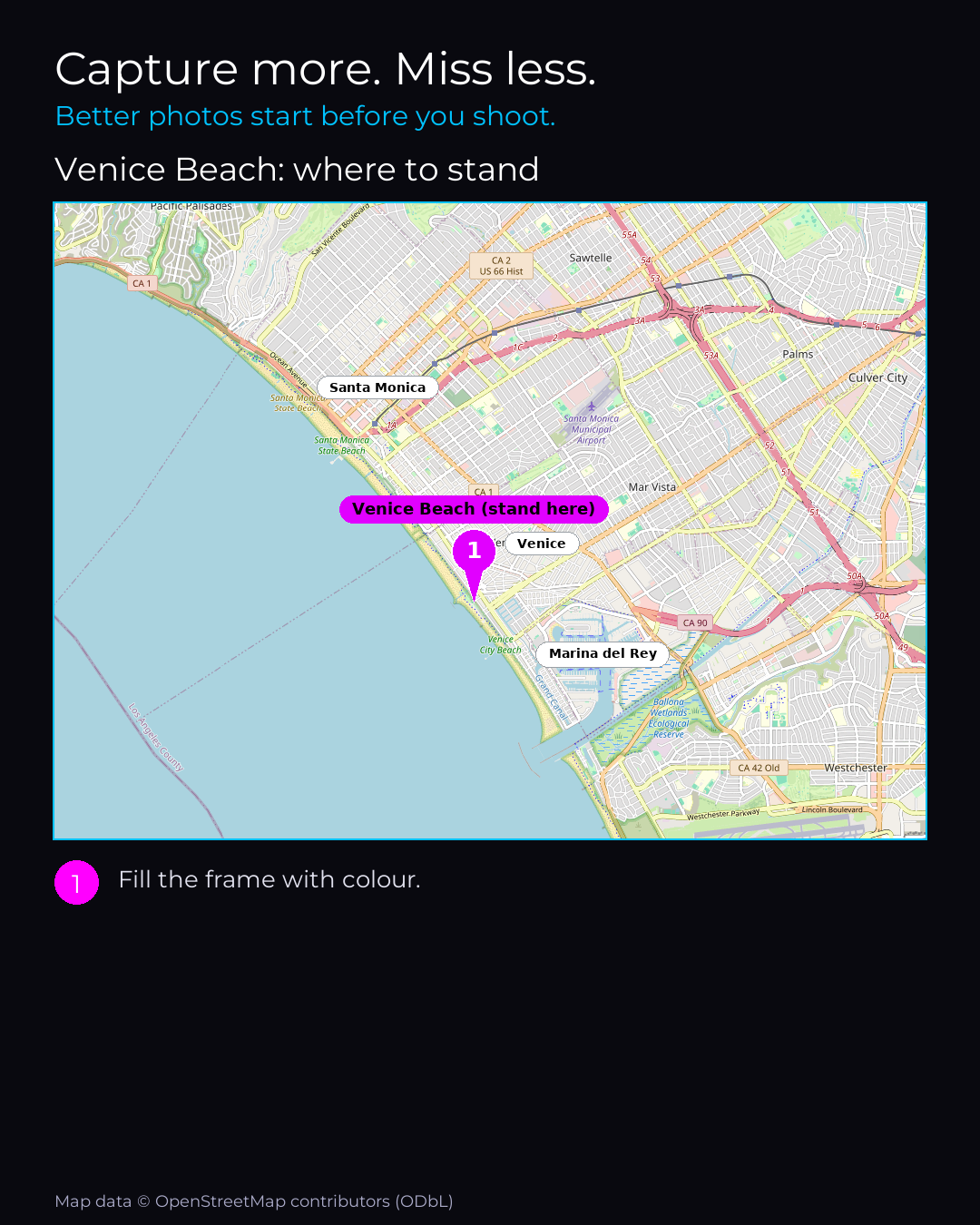 Shot map of Venice Beach